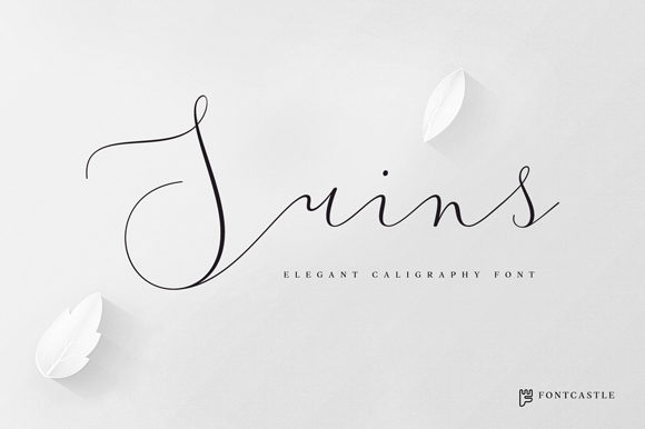 Discover the Magic of Suins