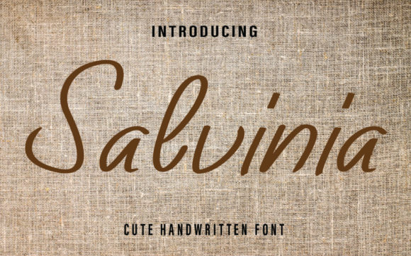 Salvinia: A Font That Breathes Life Into Editorial Design