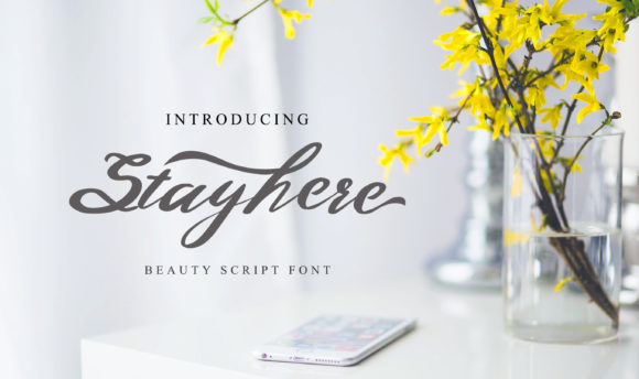 Stayhere: The Script Font That Elevates Your Brand’s Visual Story